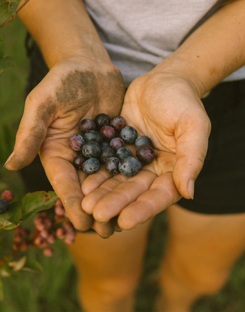 向你的土壤表达一些爱