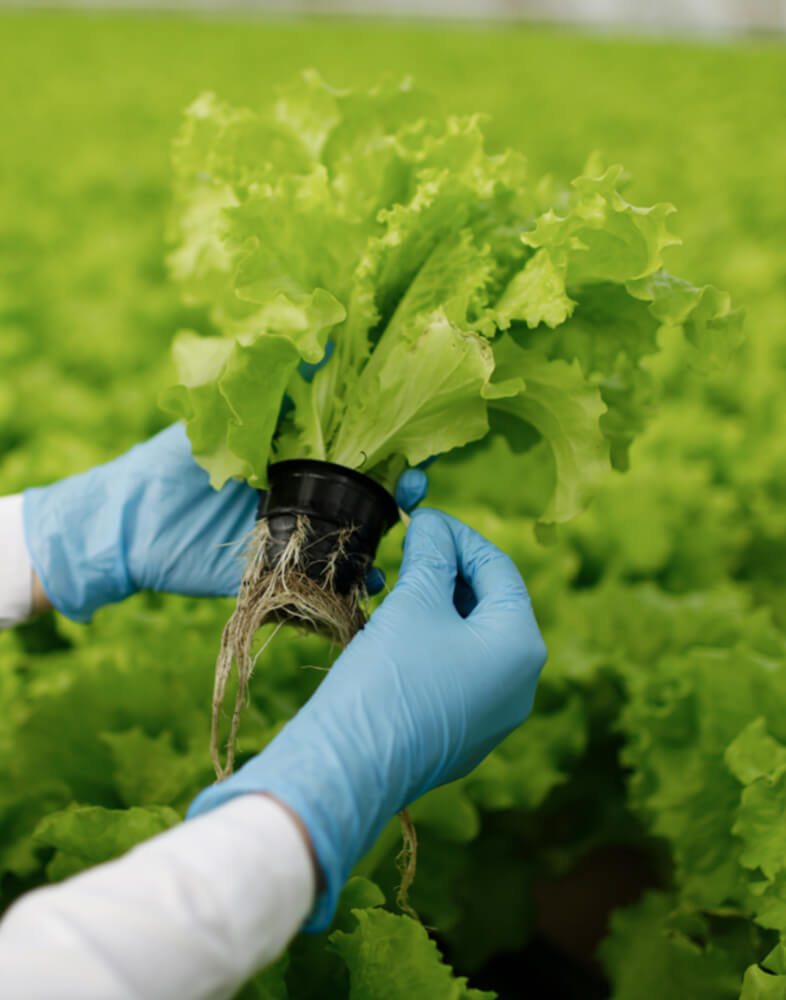 我们是一家循环经济公司
