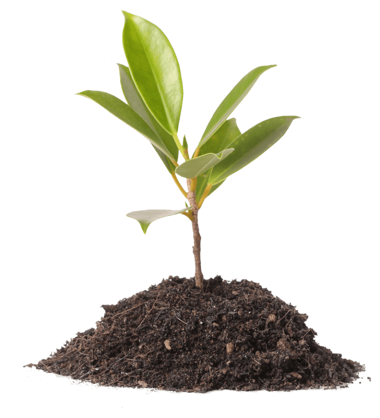 绿康有机肥是什么_有机肥是什么