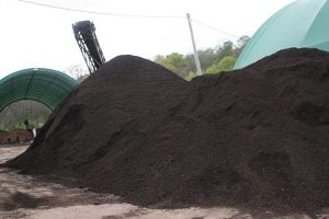 为什么要多用有机肥?