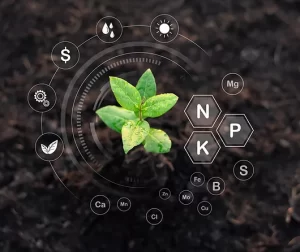 生物有机肥市场：揭示存在的问题与挑战