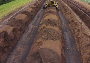 有机肥与化肥的搭配使用有好处！